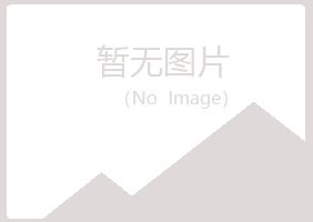 红岗区曼山能源有限公司